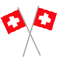 Flag Switzerland Sticker by tSocial