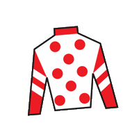 Sport Silk Sticker by Kentucky Derby