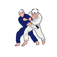 Workout Judo Sticker