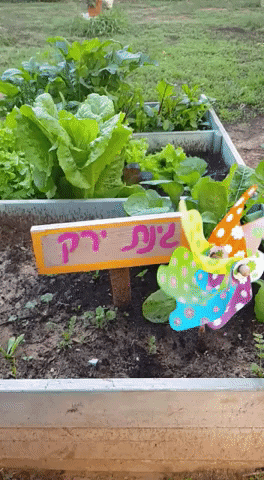 omerchen giphygifmaker GIF
