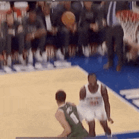 New York Basketball GIF by Milwaukee Bucks