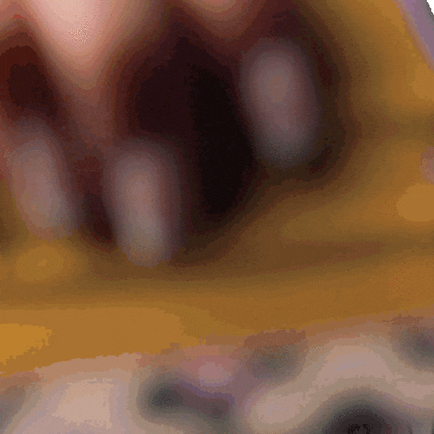 Lilly Mitarbeiter GIF by Arguumedia