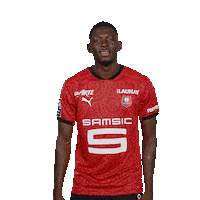 Ligue 1 Dance Sticker by Stade Rennais F.C.