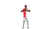 Ivory Coast Football Sticker by SK Slavia Praha