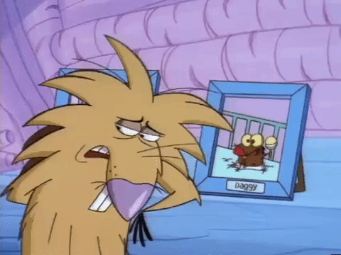 angry beavers nicksplat GIF