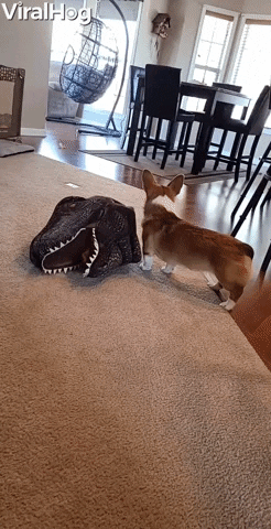 Doggy Dresses Itself Up As Dinosaur GIF by ViralHog