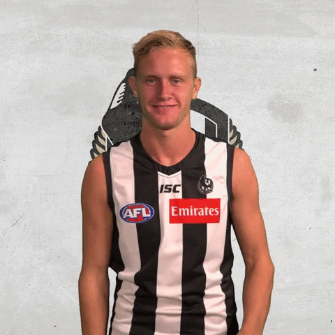 collingwoodfc giphyupload pies collingwood magpies GIF
