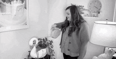 Aidy Bryant Snl GIF by Saturday Night Live