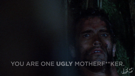 arnold schwarzenegger predator GIF by IFC