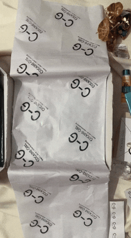 Fashion Bags GIF