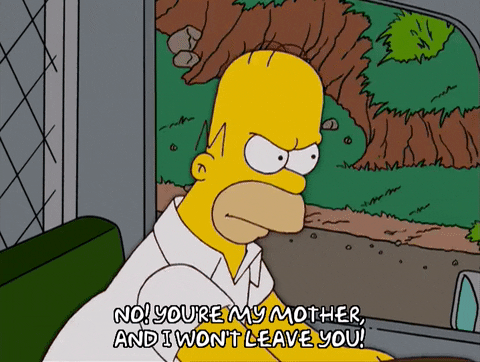 homer simpson GIF