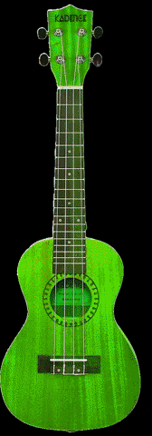 Summer Rainbow GIF by kadence