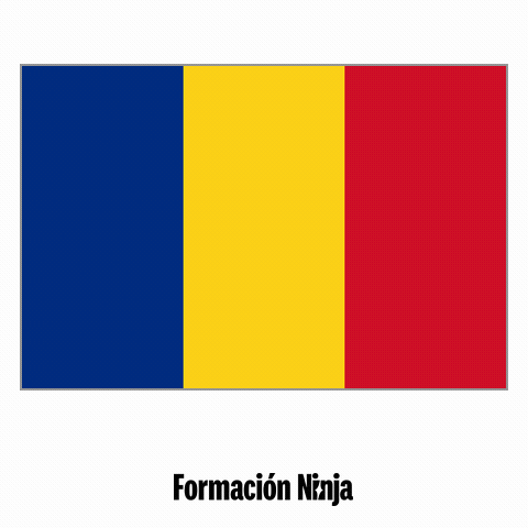 Romania Flag GIF by Formación Ninja