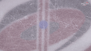 hockey nhl GIF by Carolina Hurricanes