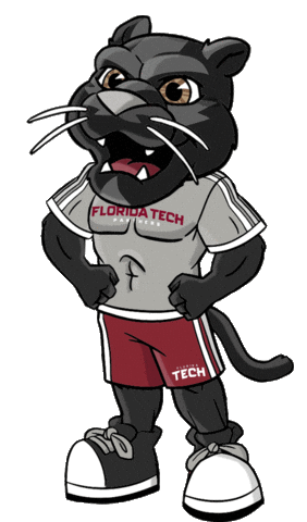 Petethepanther Sticker by Florida Tech