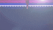 Cat Travel GIF by L.OL. Surprise!