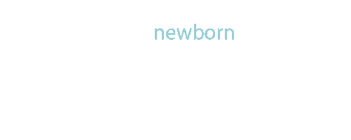 hayleyhutchinson giphyupload newborn tiffanyblue justhatcheddesigns Sticker