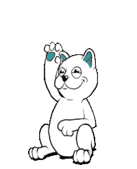 cat sticker