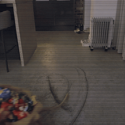 elfwatch xmas elf elf on the shelf elfwatch GIF