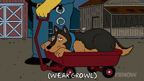 Season 18 Dog GIF by The Simpsons