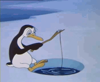 penguin GIF