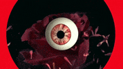 Explode Slow Motion GIF by Blossöm Records