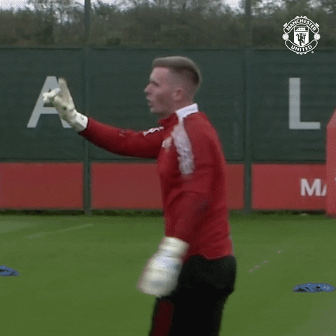 Sport No GIF by Manchester United