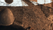 France Game GIF by Xbox