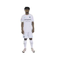Benji Dancing Sticker by FC Slovan Liberec