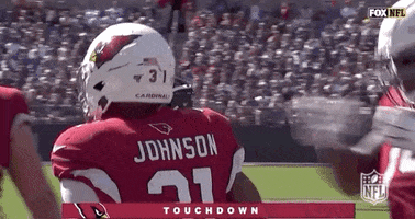 Nfl Season 2019 Football GIF by NFL