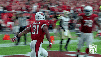 Arizona Cardinals Football GIF by NFL