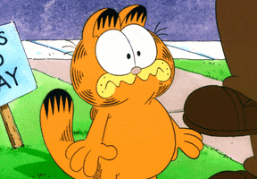 Cat What GIF by Garfield