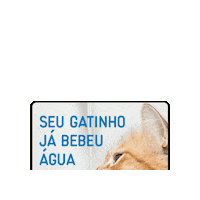 elanco_brasil gato elanco elancopets marçoamarelo Sticker