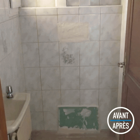 Geberit-FR  GIF