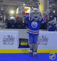 Ice Hockey GIF by NHL
