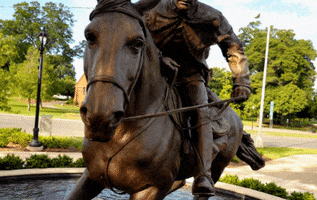 Captain Jack Horse GIF by Mecklenburg County