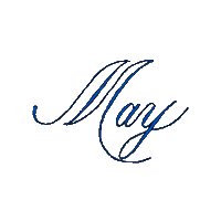 May Cinco De Mayo Sticker by Gazing Through Glass