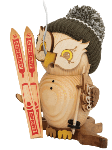 Ski Sticker by Kuhnert