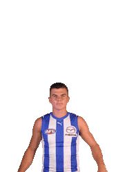 Afl Kangaroos Sticker by North Melbourne FC