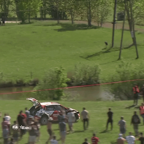 FIA-ERC giphyupload rally dont care never give up GIF