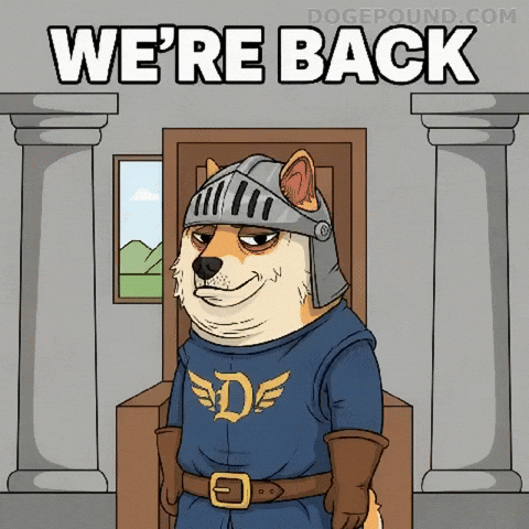 Returning Shiba Inu GIF by Doge Pound