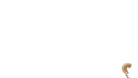 Fieldhockey Sticker by coelen