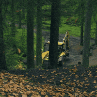 Forrest GIF by HYDREMA