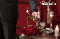 Thebachelor GIF by The Bachelor Australia