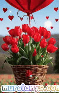 De Flores Familia GIF by Murcianys LLC