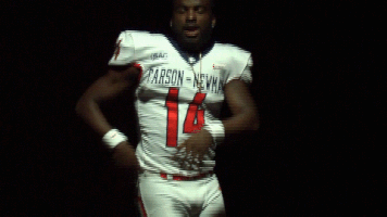 cnfb18 cnfootball18 GIF by Carson-Newman Athletics
