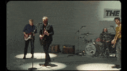 Stephen Colbert GIF by The Late Show With Stephen Colbert
