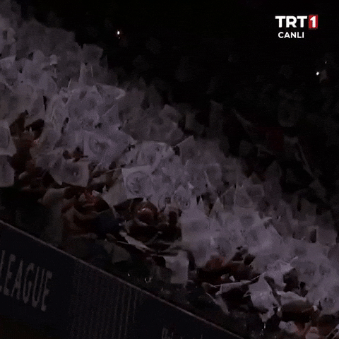 Futbol Amsterdam GIF by TRT