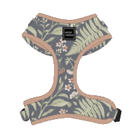 Dog Harness Sticker by WOOF+WEEN