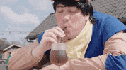 Recreatieparkdeboshoek boshoek deboshoek keessieenwillie keessiewillie GIF